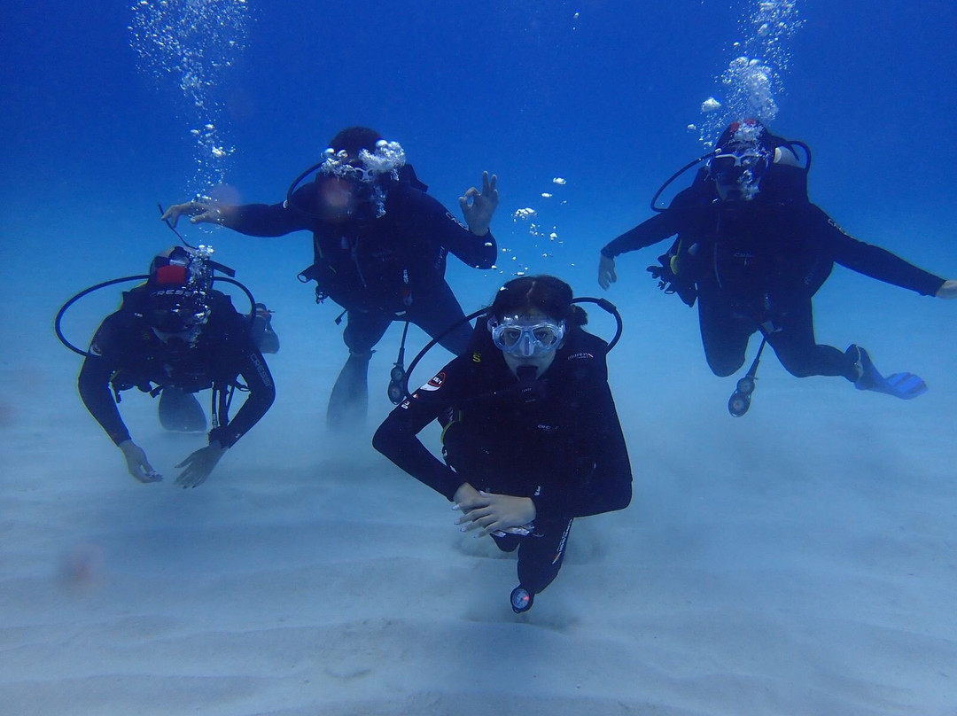 Just Diving-Bain Boeuf必去景点