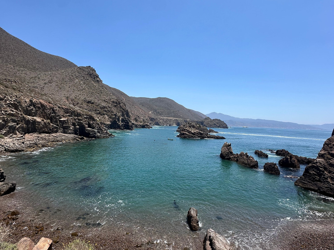 Baja Blue Diver-恩塞纳达必去景点