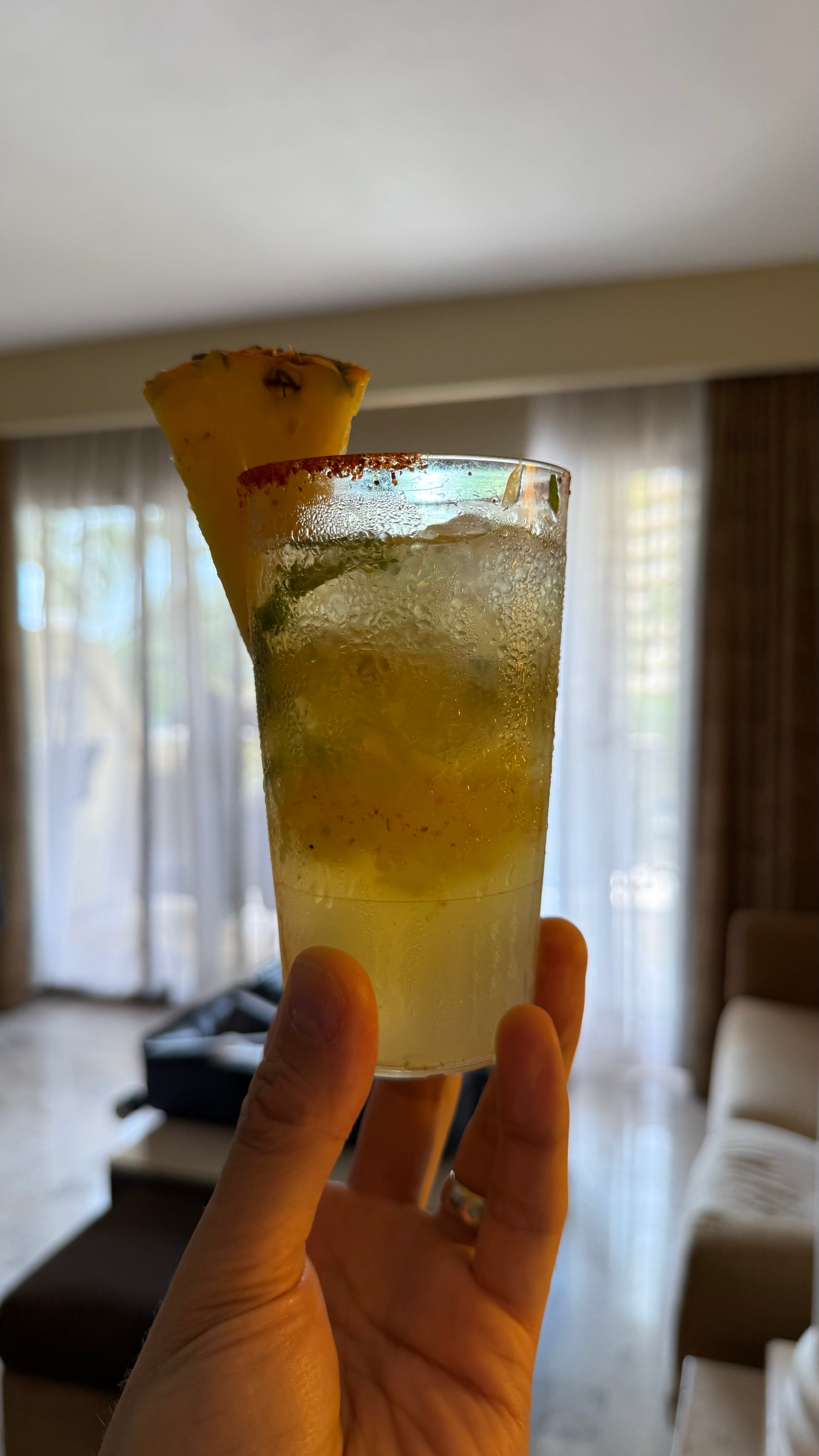 巴亚尔塔港全包酒店-泳池