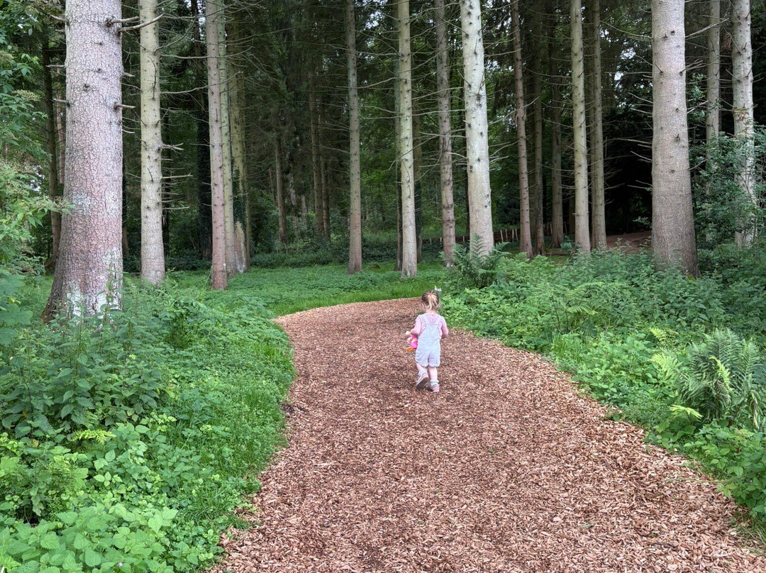 Lowther Castle and Gardens-彭里斯必去景点