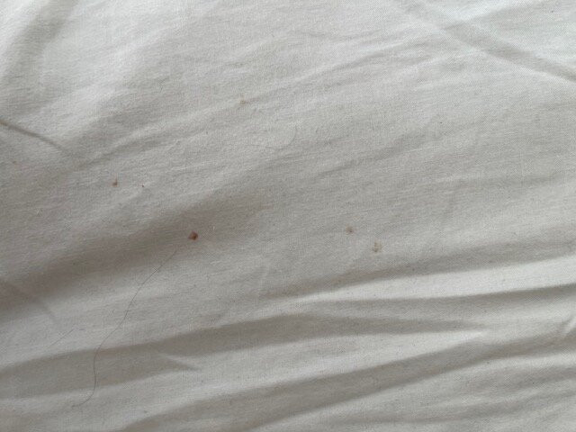 Oasis Praiamar主图