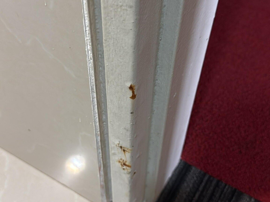 LIDOTEL Paraguaná主图