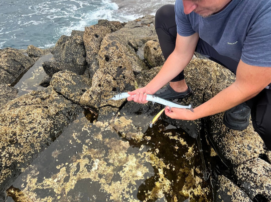 Fishing Tribe Lanzarote-兰萨罗特必去景点