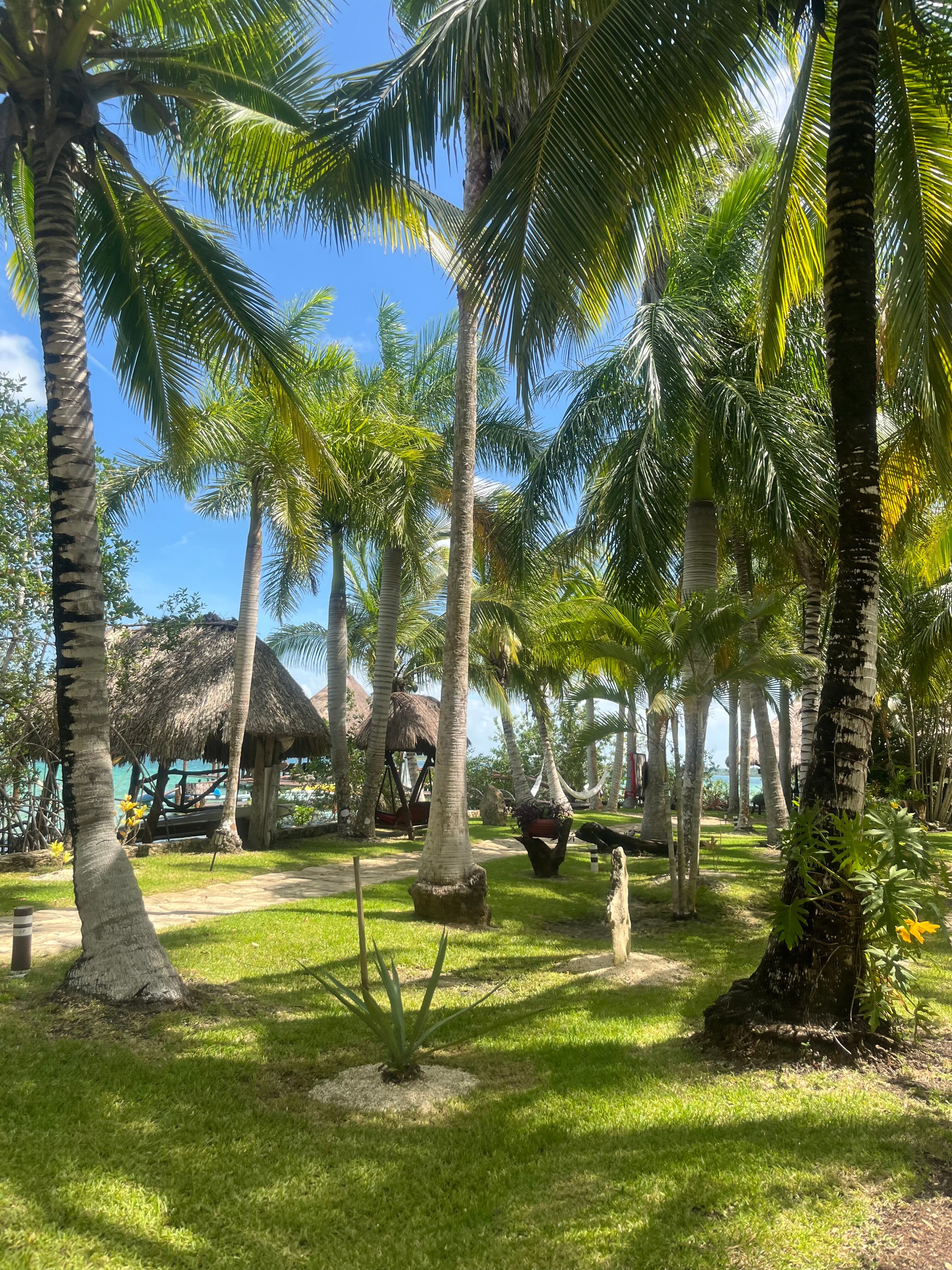 Centro Holístico Akalki-官方