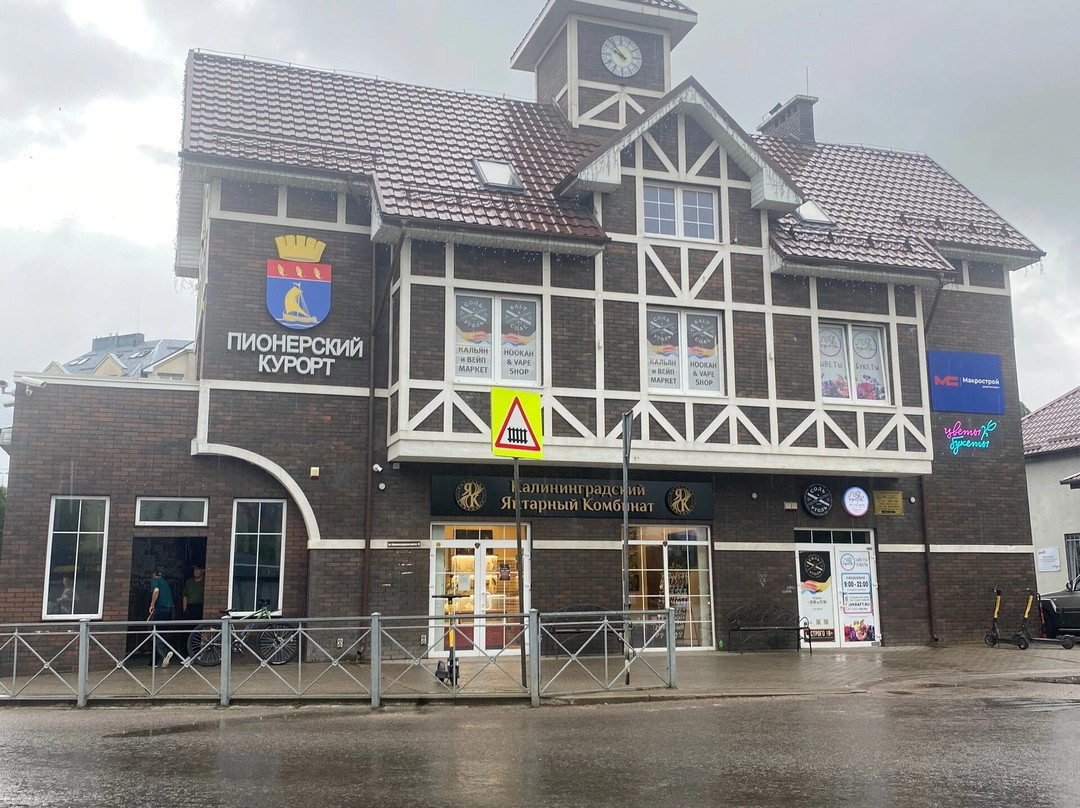 Pionerskiy  Kurort  Bus Station-Pionersky必去景点