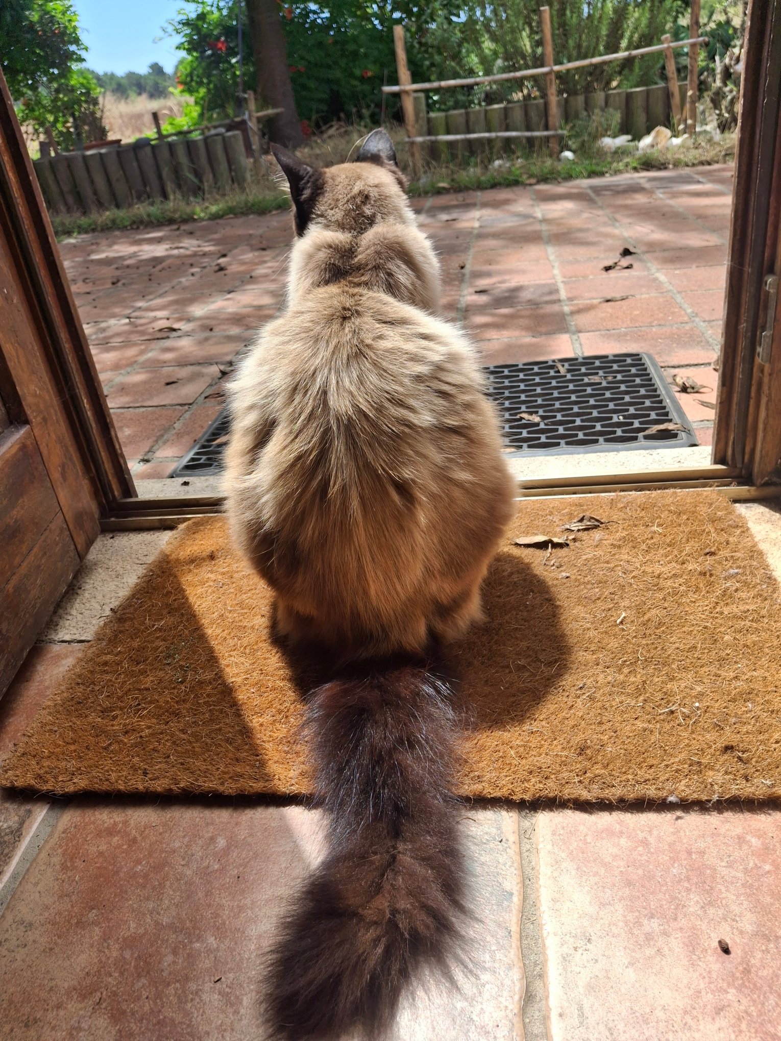 Quinta Pero Vicente-官方