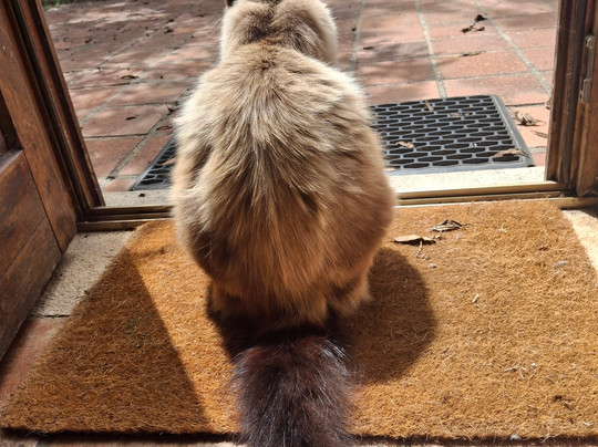 Quinta Pero Vicente主图