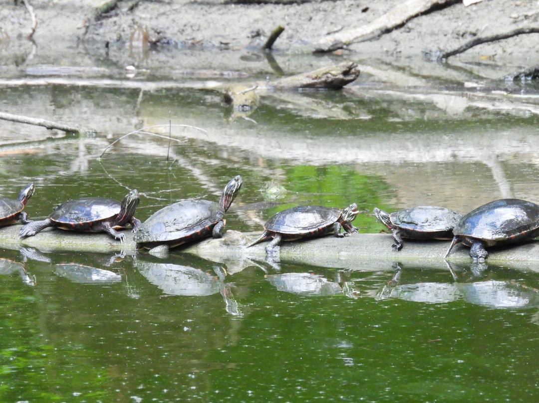 Douglas-Hart Nature Center-Mattoon必去景点
