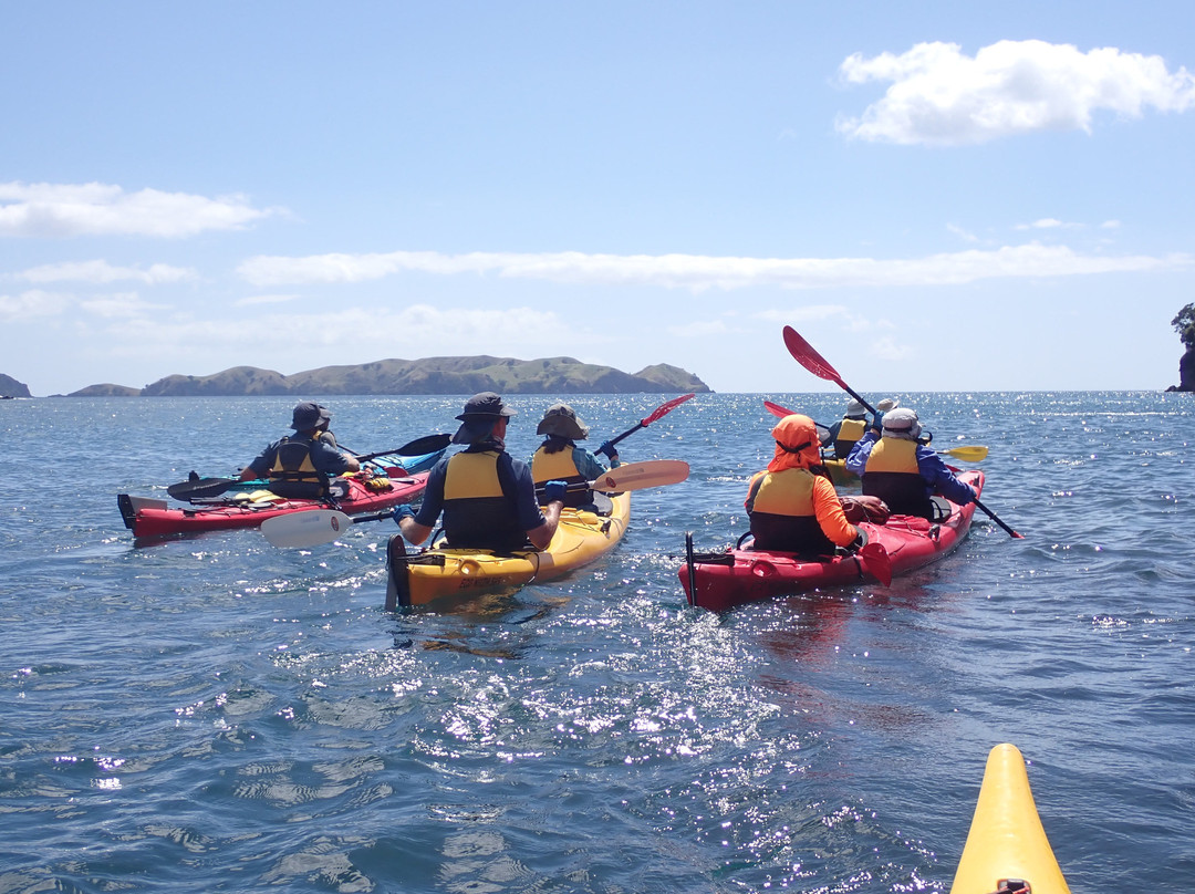 Northland Outdoor Adventures-Whangaroa必去景点