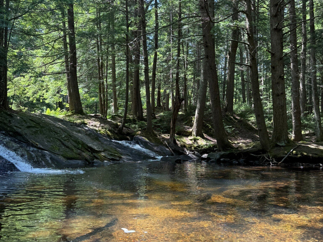 Thundering Brook Falls Trail-基灵顿必去景点