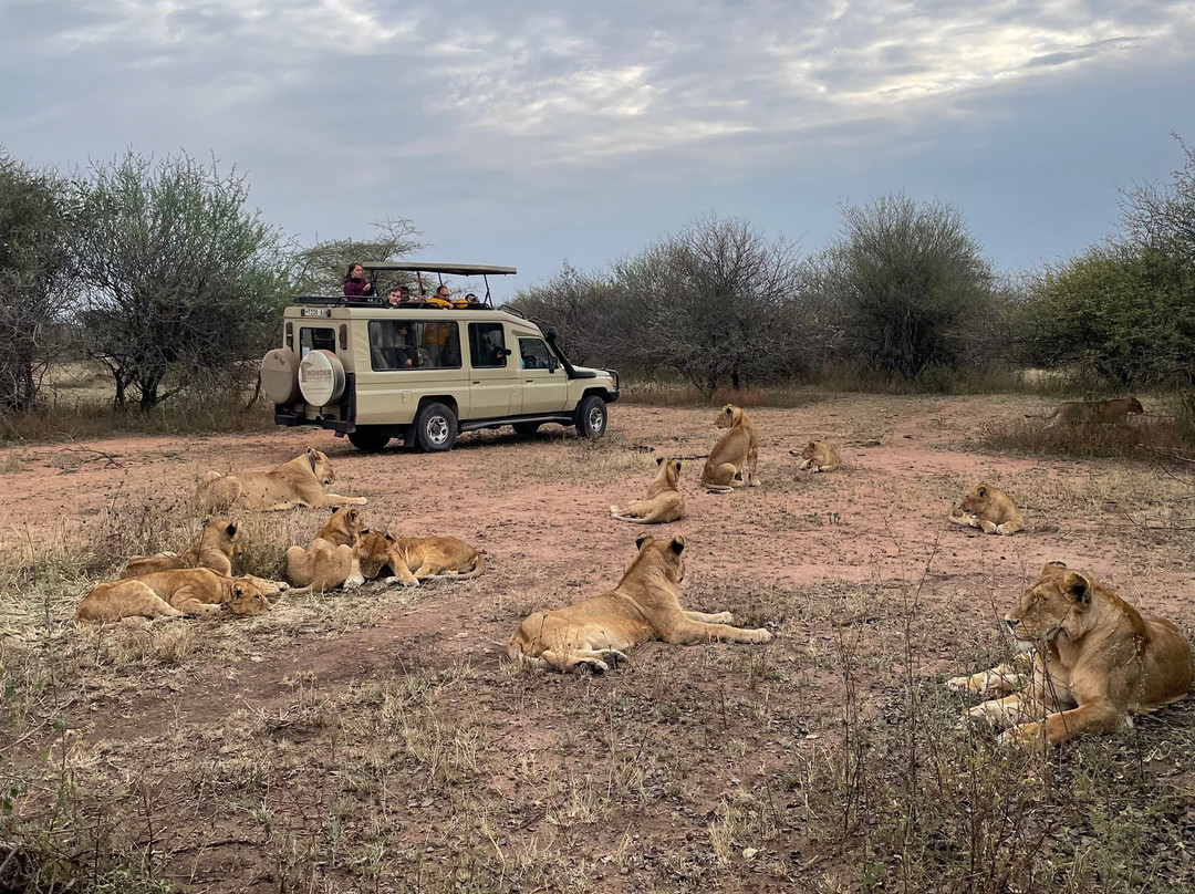 PROCEEDING ADVENTURES LIMITED-Marangu必去景点