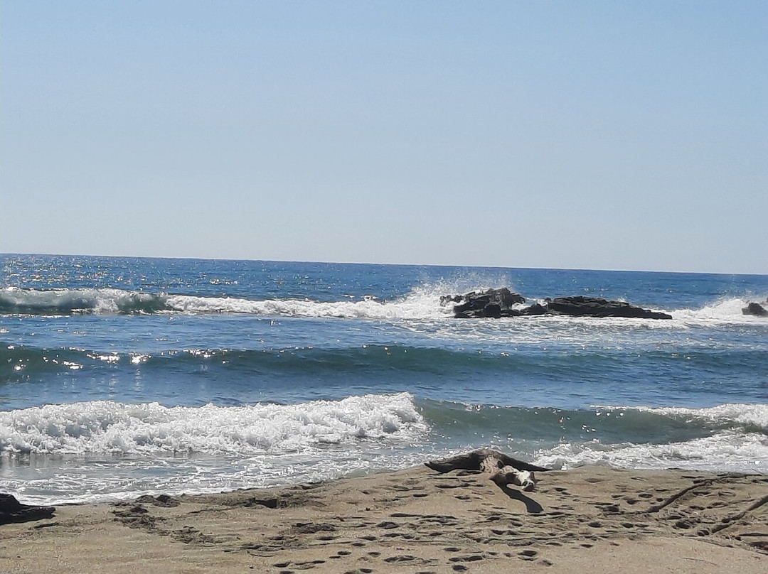Plage de Bravone-Linguizzetta必去景点