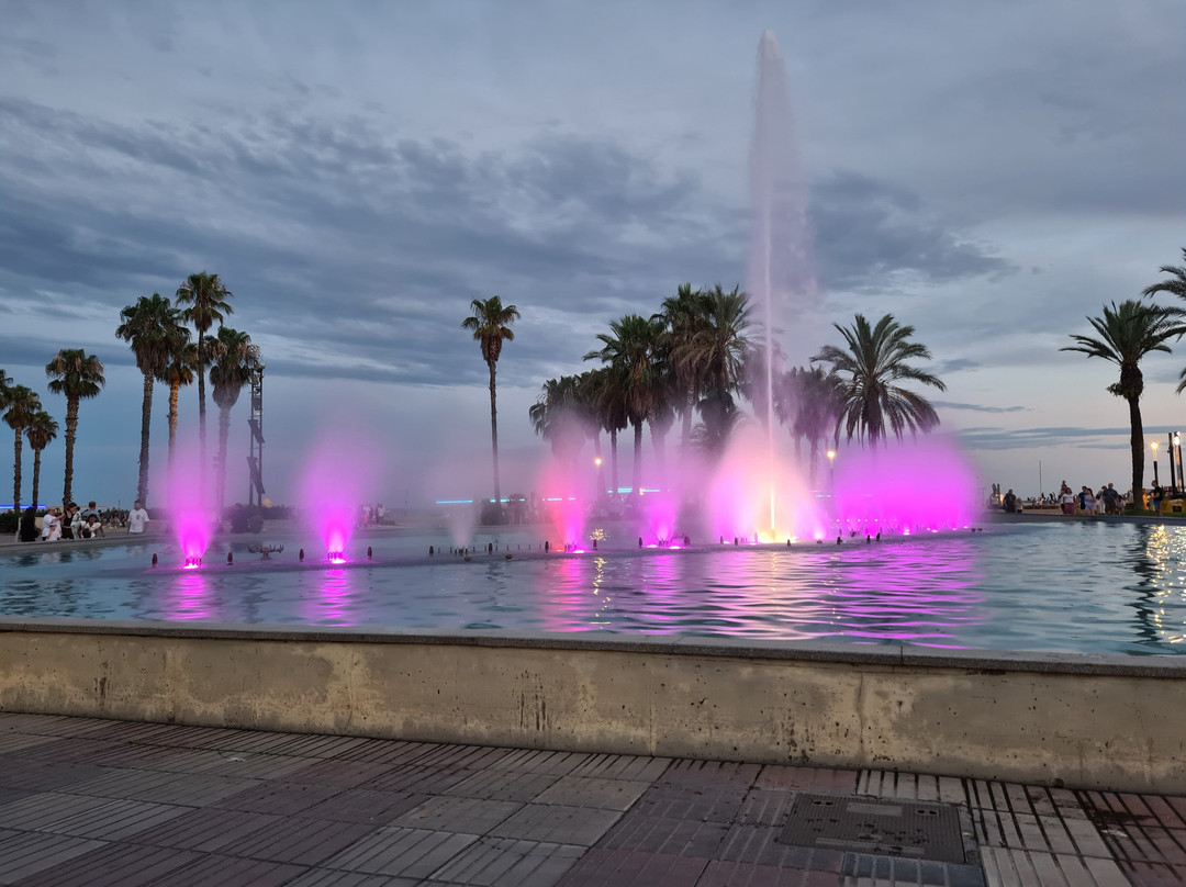 光之泉-萨洛必去景点