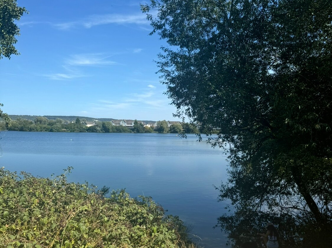 Leybourne Lakes Watersports Centre-Larkfield必去景点