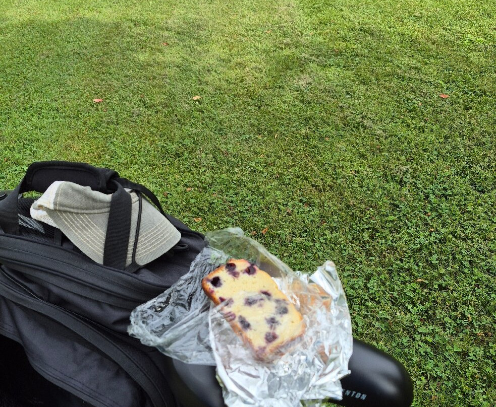 Adele's bed and breakfast主图