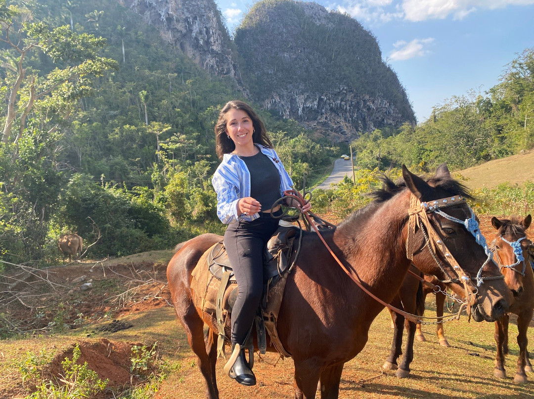 Un Paseo Por El Valle Palmarito-维纳勒斯必去景点
