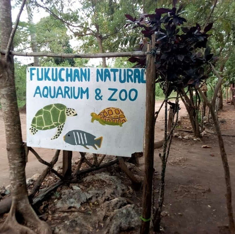 Fukuchani Ruins-Unguja City必去景点