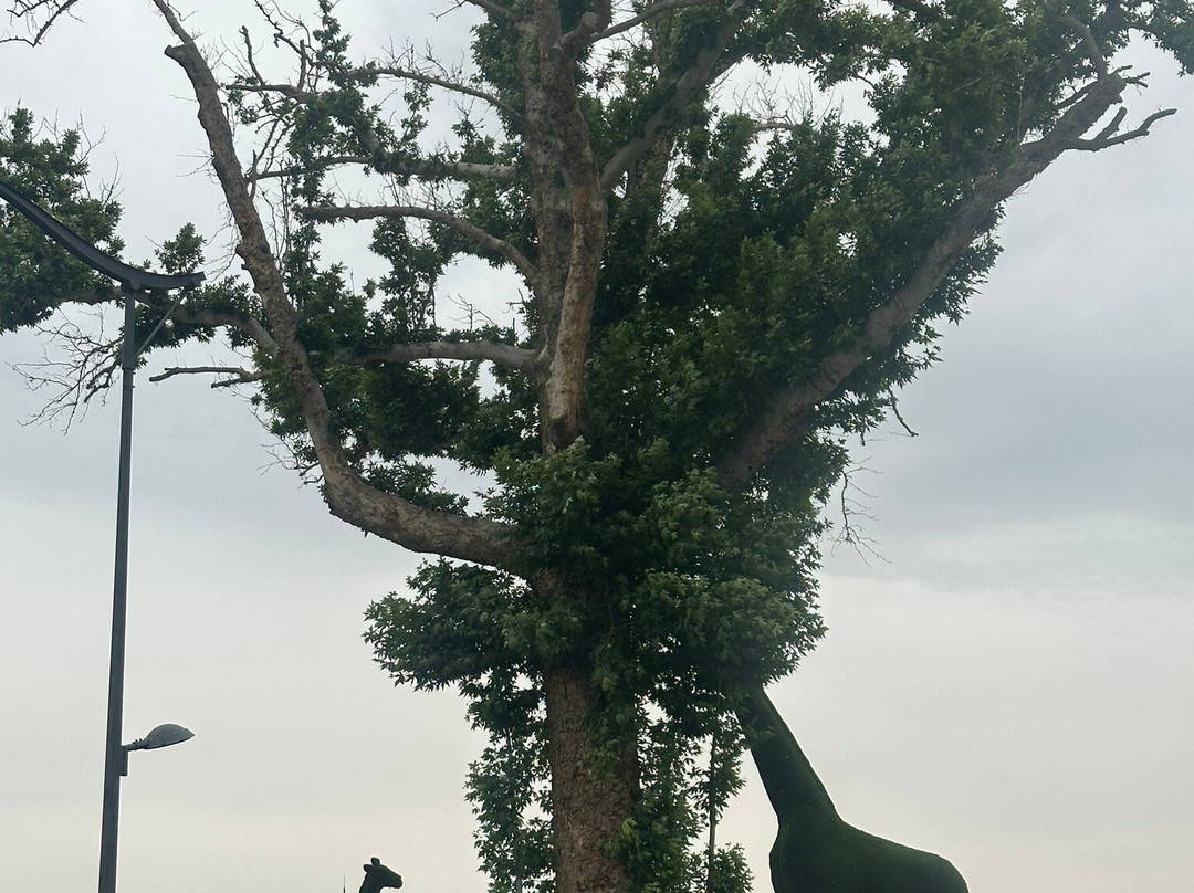 Tashkent City Park-塔什干必去景点