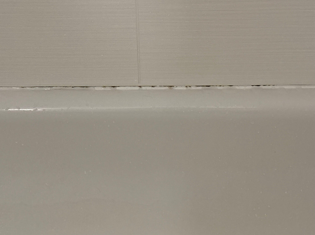 萨拉托加斯普林斯希尔顿花园酒店主图