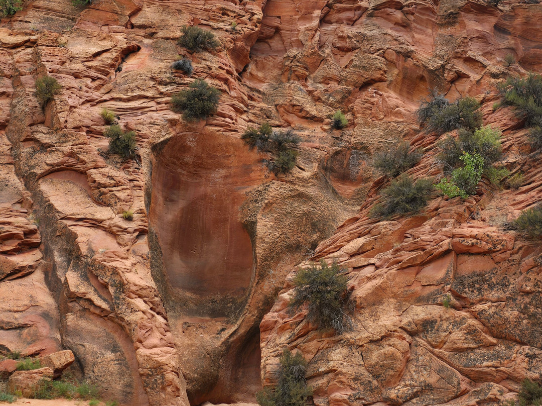 East Zion Adventures-Orderville必去景点
