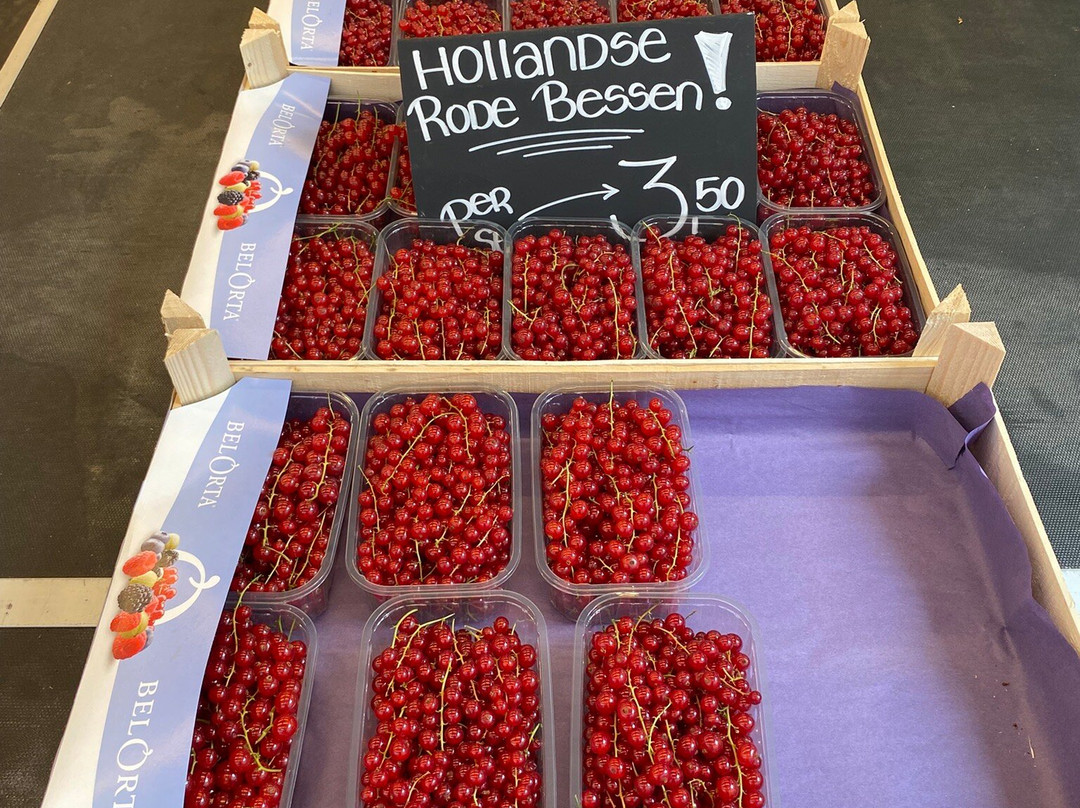 Leiden Street Market-莱顿必去景点