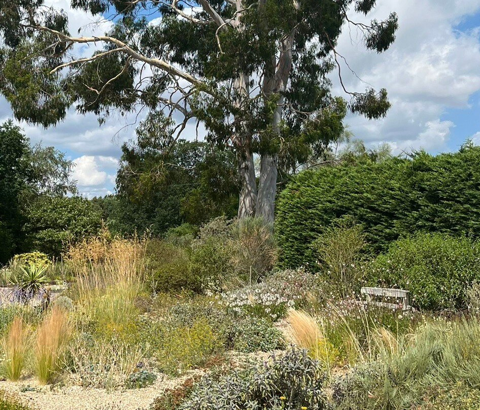 Beth Chatto's Plants & Gardens-科尔切斯特必去景点