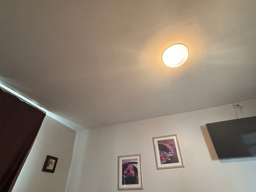 Hotel Alexandra主图