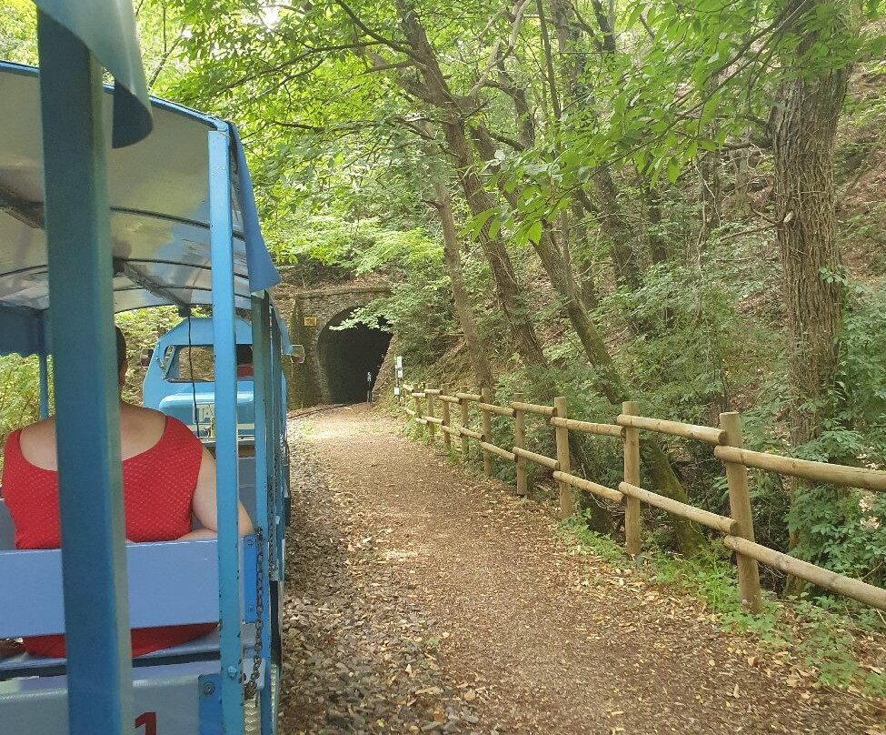 Train de l'Andorge en Cevennes-Sainte-Cecile-d'Andorge必去景点