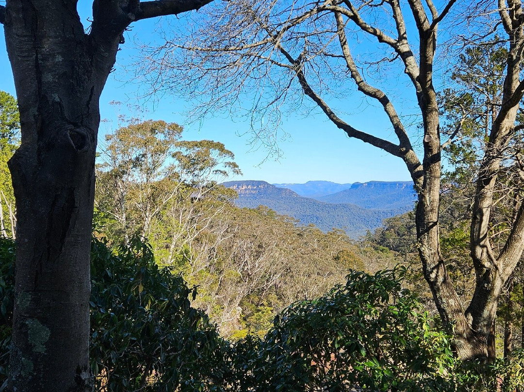 Everglades House & Gardens-鲁拉镇必去景点