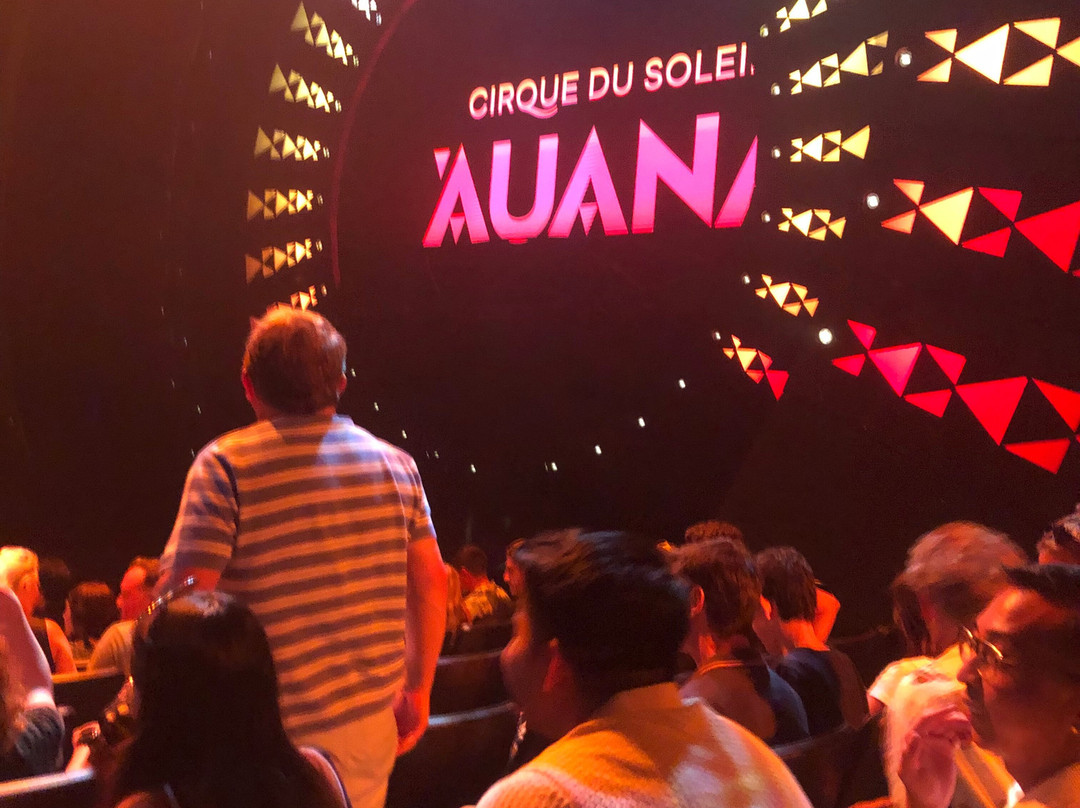 Cirque du Soleil 'Auana-火奴鲁鲁必去景点