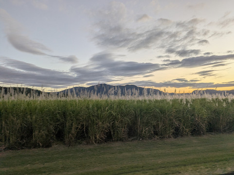 AAT国王悉尼一日游-悉尼必去景点