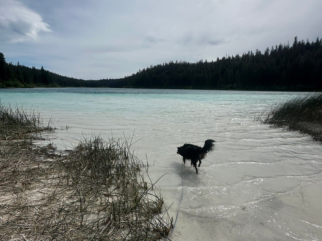 Kentucky Alleyne Provincial Park-Forest Grove必去景点