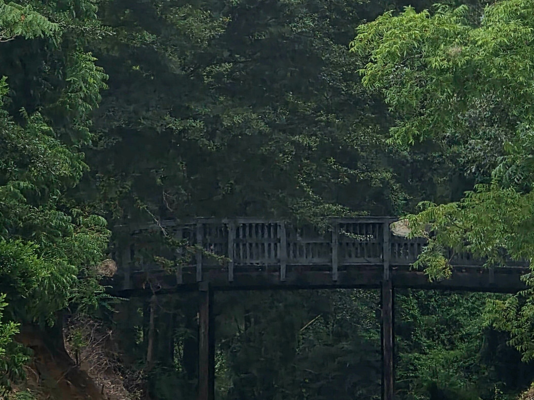 Georgia Tour Company-Senoia必去景点