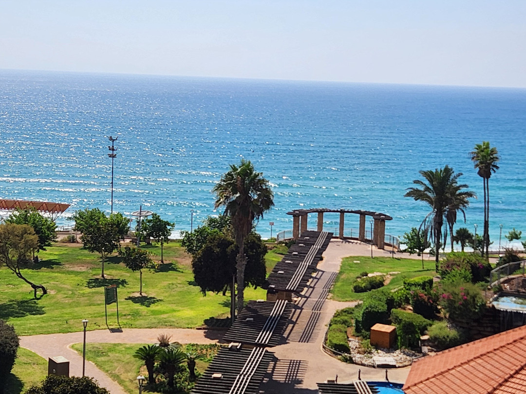 David Tower Hotel主图