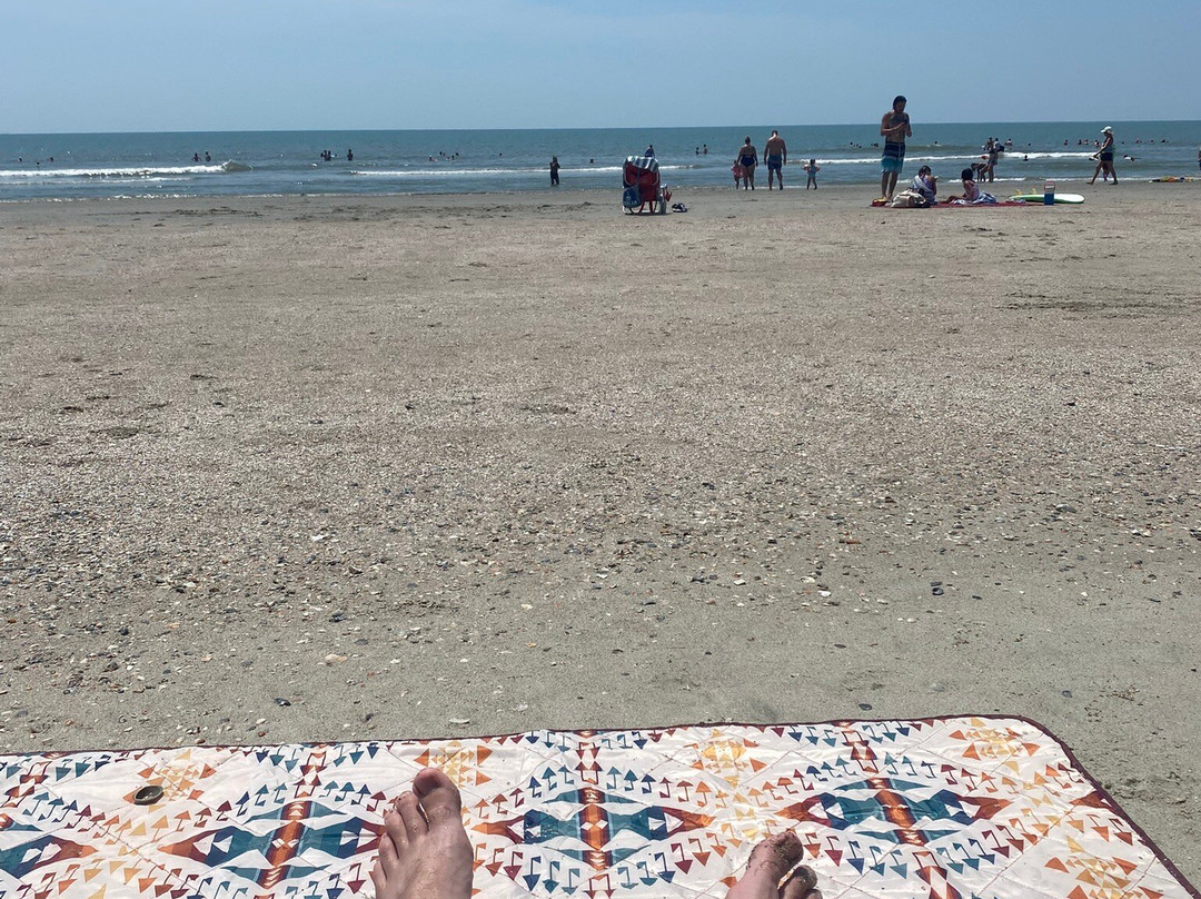 Isle of Palms Beach-棕榈岛必去景点