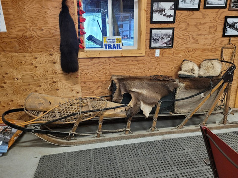 Seavey's IdidaRide Sled Dog Tours-苏厄德必去景点