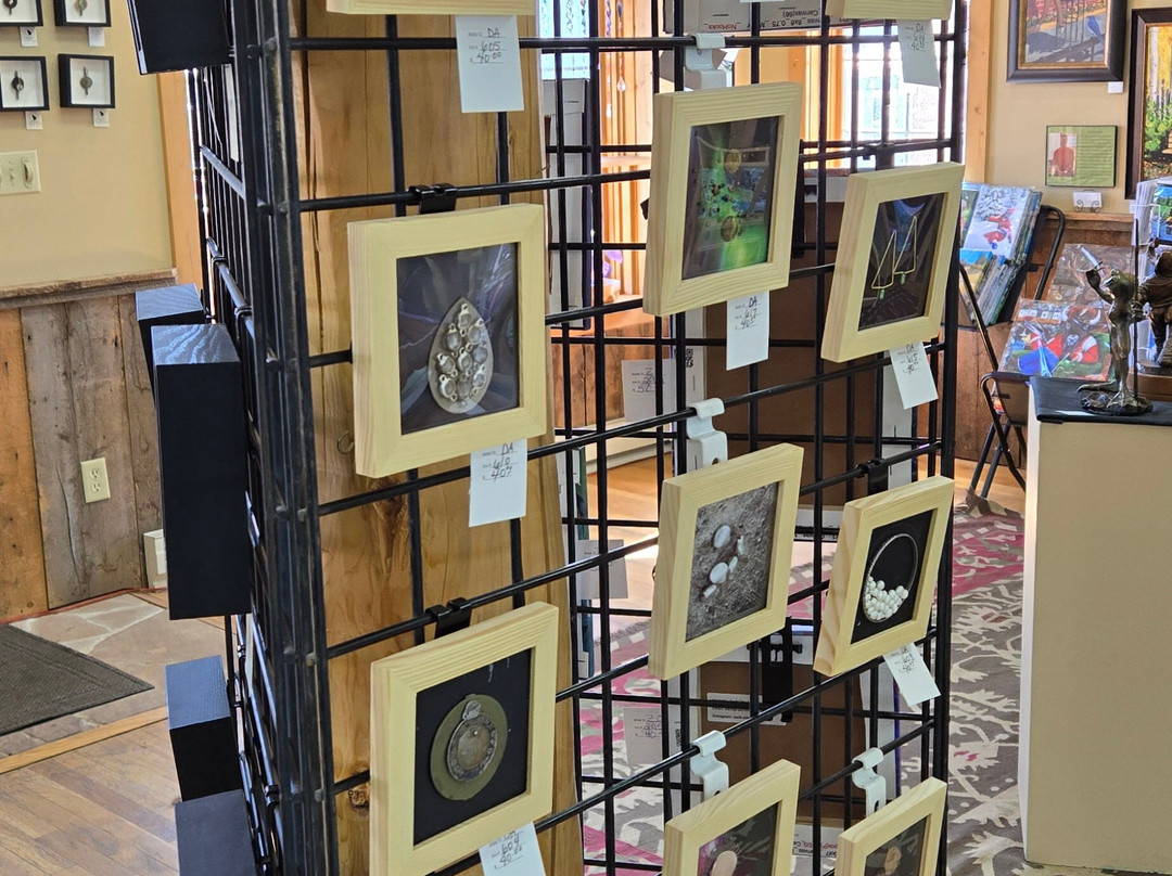 Coyote Creek Studio Arts