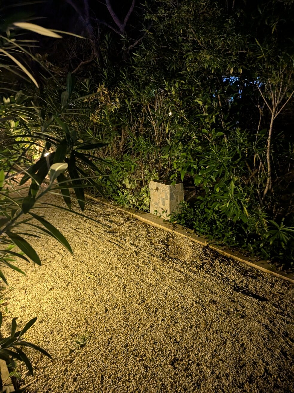 White Paradise Zanzibar-官方