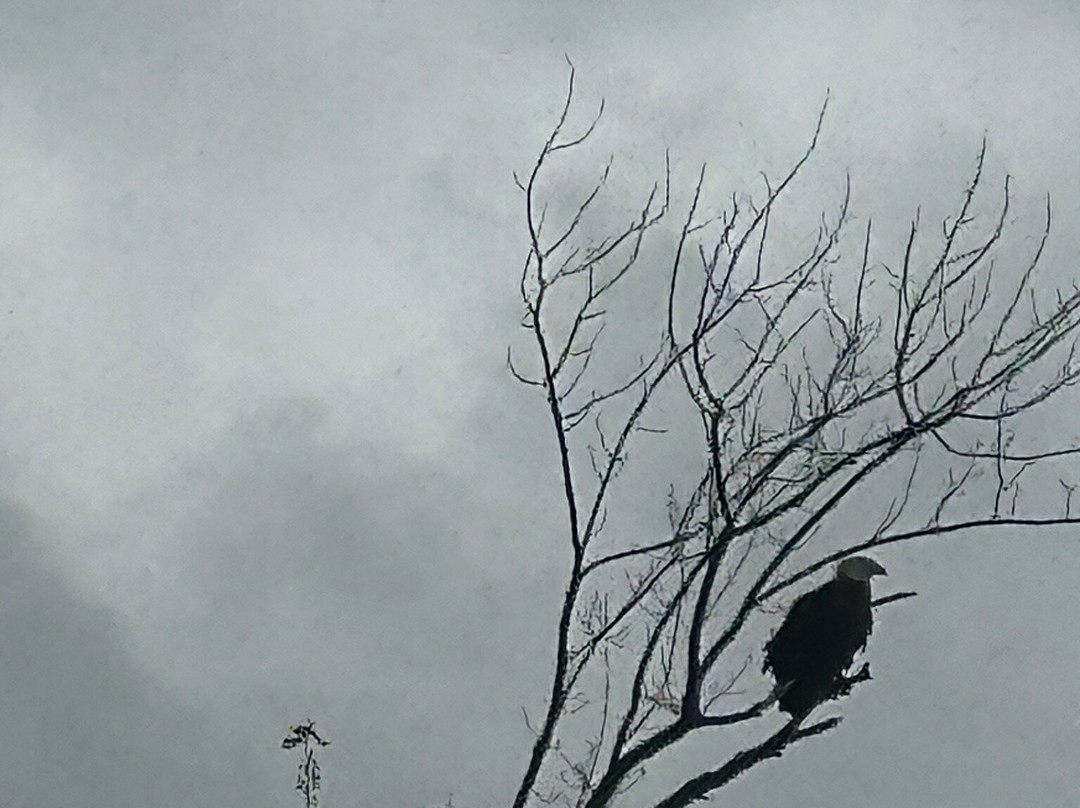 栗山自然保护区-加利纳必去景点
