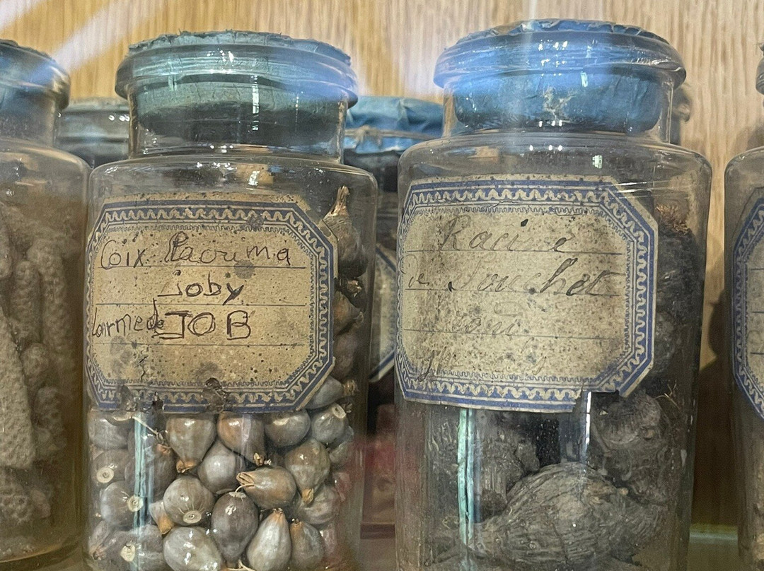 Camifolia Garden-Chemille必去景点