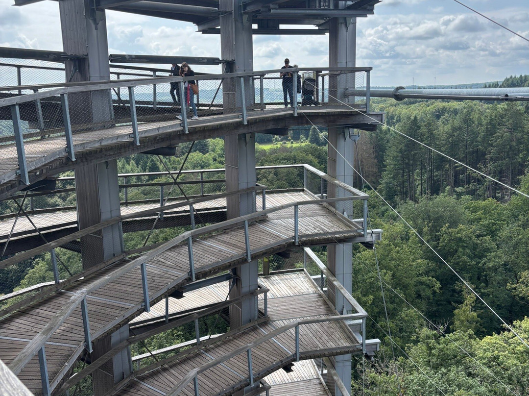 Treetop Path Saarschleife-Orscholz必去景点