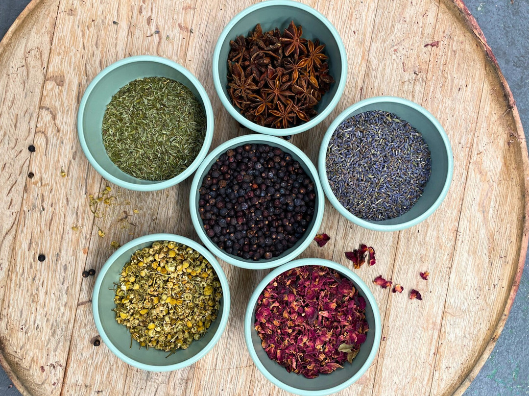 The Spirits Workshop Distillery - Curiosity Gin and Divergence Whisky-基督城必去景点