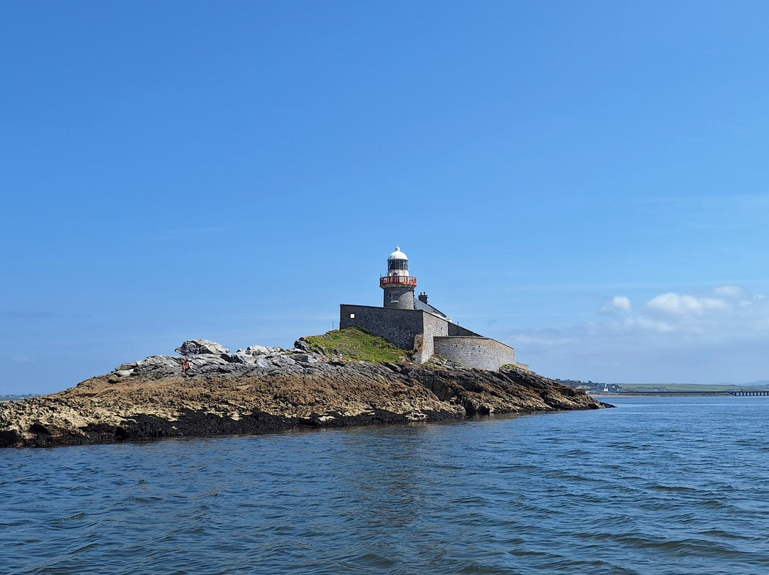 Tralee Bay Experience- Fenit boat tours-Fenit必去景点