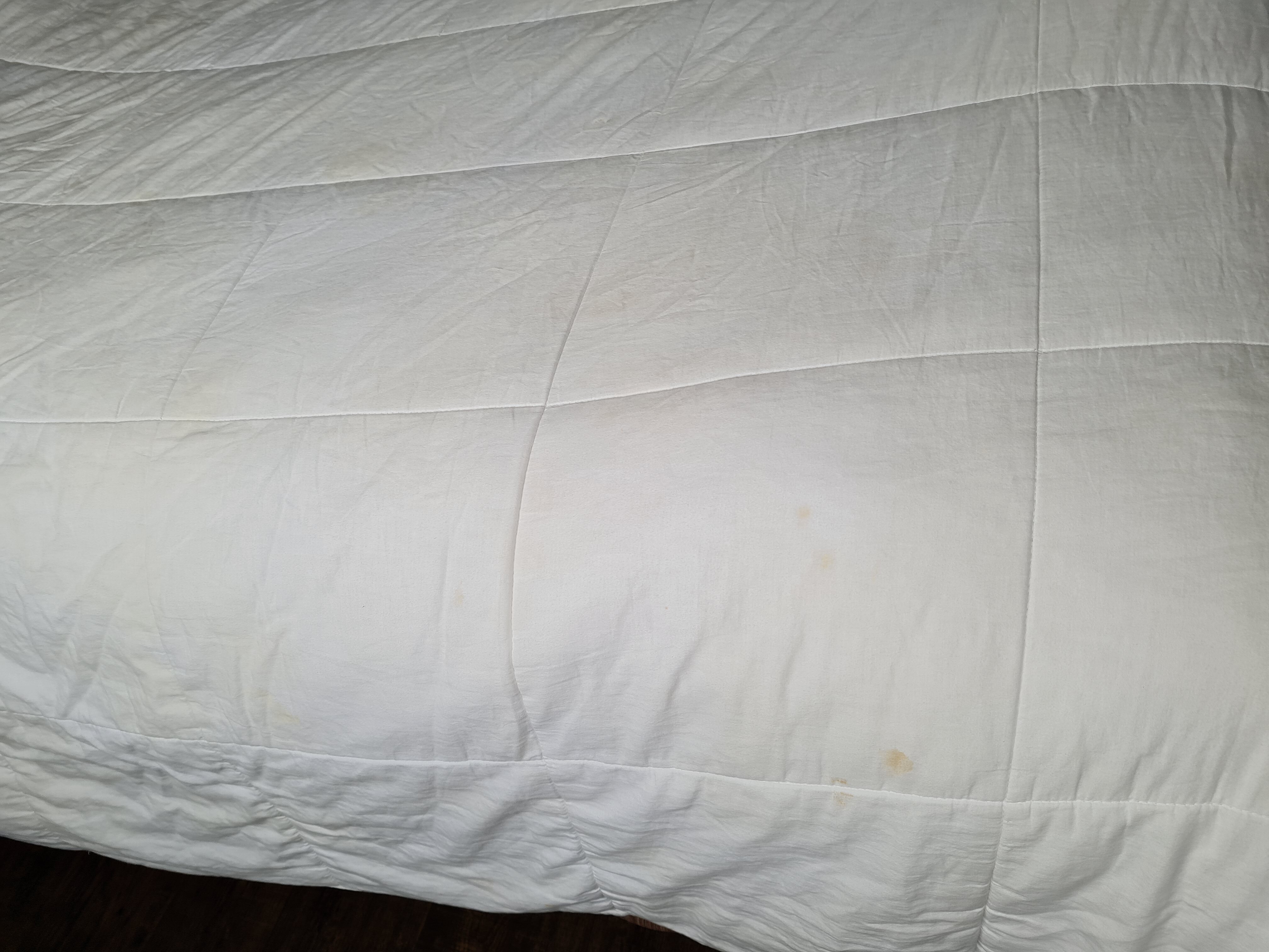 布罗克维尔戴斯酒店-官方