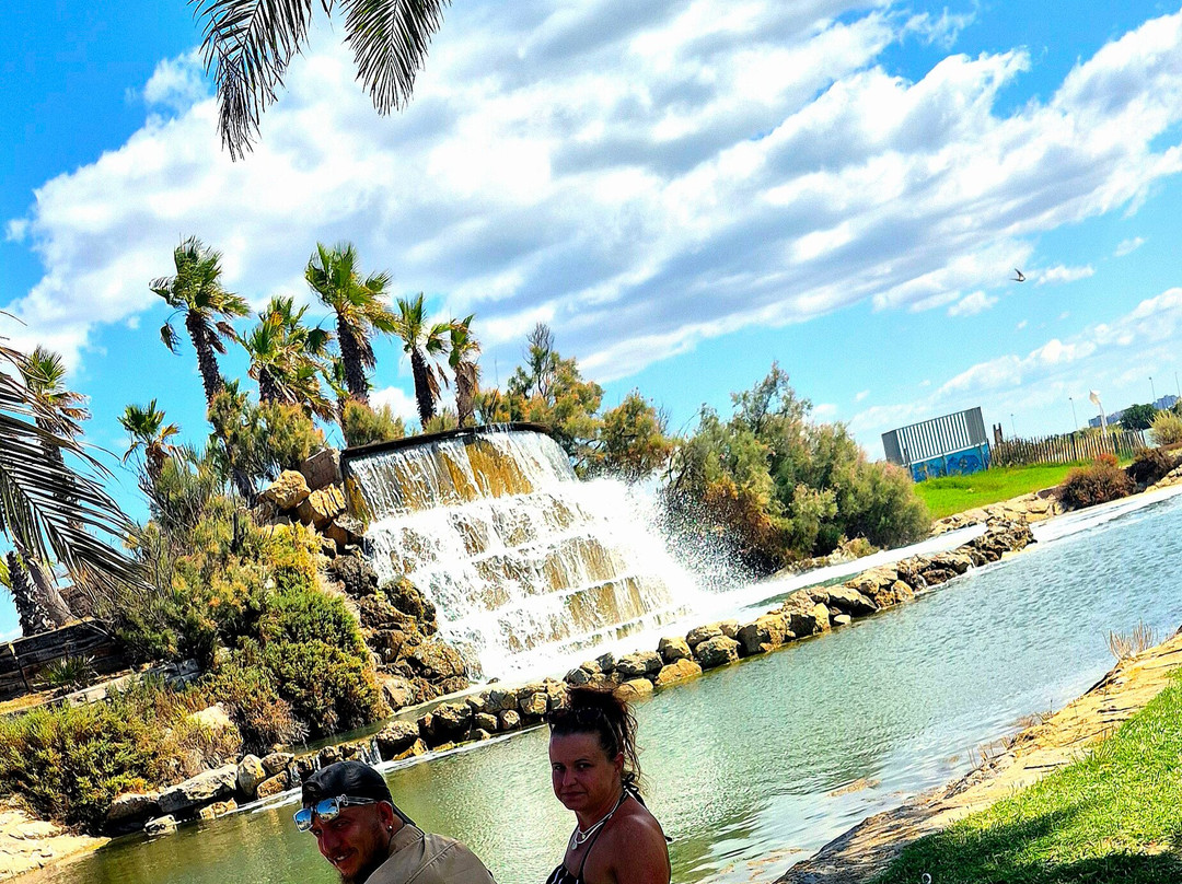 Parc du Levant-帕拉瓦莱弗洛必去景点