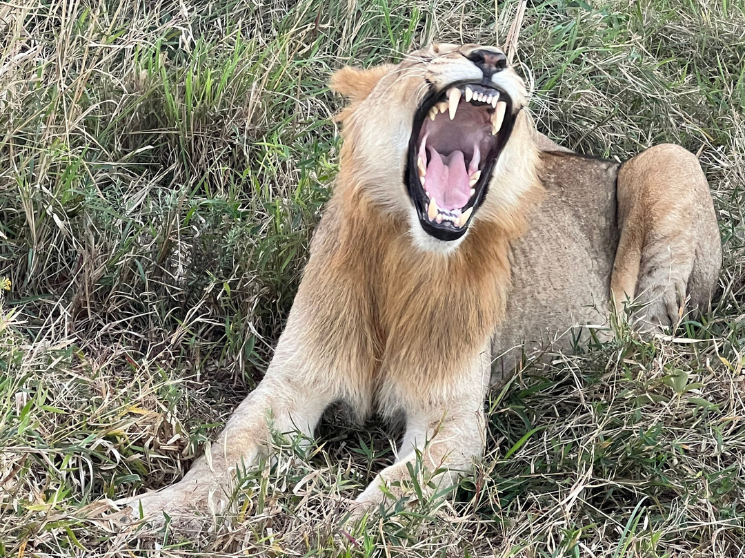 Makhasa Private Game Lodge主图