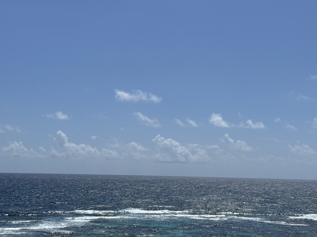 Point Udall-圣克鲁斯必去景点