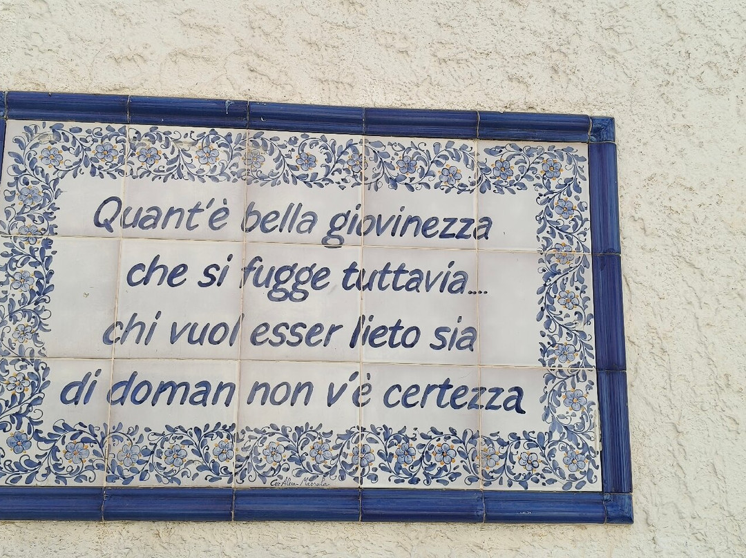 Redfish-马尔萨拉必去景点