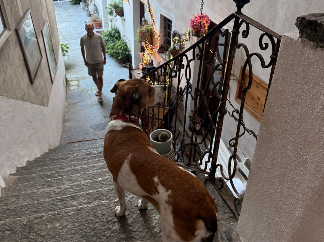 Contrada Lunga主图