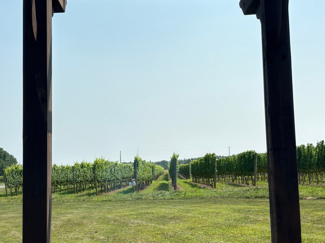 Kemmeter Wines-Penn Yan必去景点